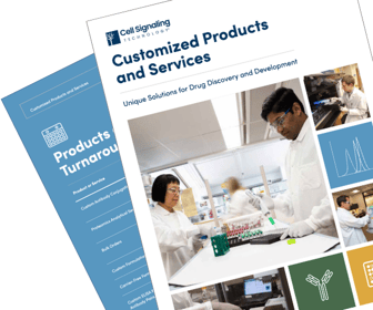 Customized Products and Services Thumbnail